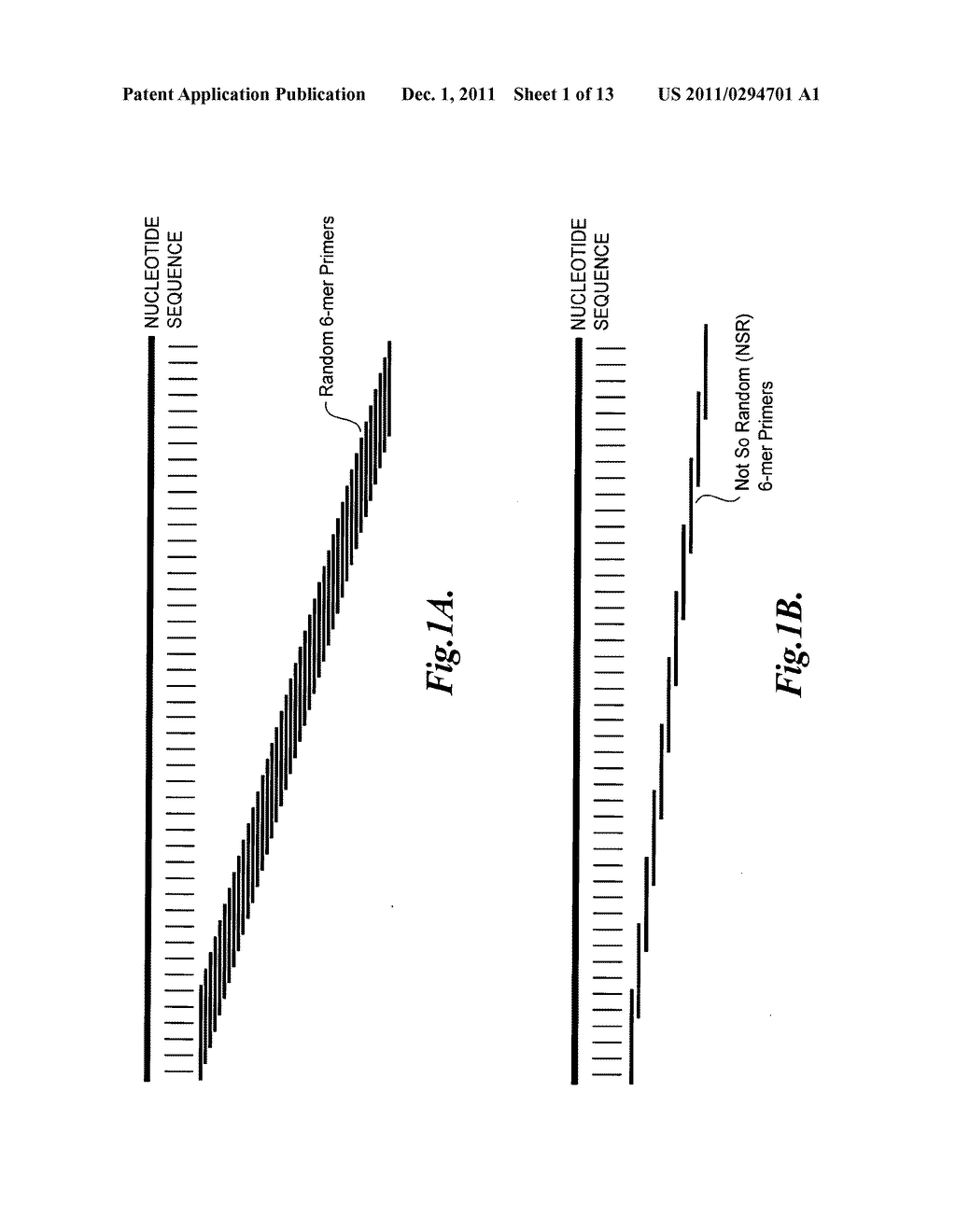 Nucleic acid amplification using non-random primers - diagram, schematic, and image 02