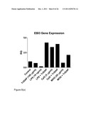 COMPOUNDS AND METHODS FOR THE TREATMENT OF AUTOIMMUNE AND INFLAMMATORY     DISEASE diagram and image