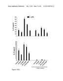 COMPOUNDS AND METHODS FOR THE TREATMENT OF AUTOIMMUNE AND INFLAMMATORY     DISEASE diagram and image