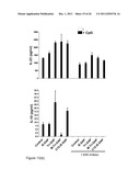 COMPOUNDS AND METHODS FOR THE TREATMENT OF AUTOIMMUNE AND INFLAMMATORY     DISEASE diagram and image