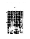 METASTASIS-SPECIFIC PEPTIDES AND THEIR DIAGNOSTIC AND THERAPEUTIC     APPLICATIONS diagram and image