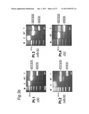 Means and methods for counteracting muscle disorders diagram and image