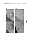 NOVEL PHARMACEUTICAL COMPOUNDS diagram and image