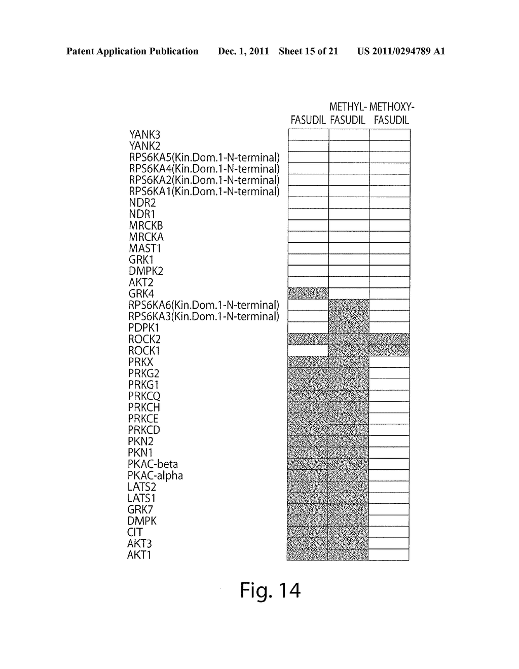 COMPOUNDS FOR RHO KINASE INHIBITION AND FOR IMPROVING LEARNING AND MEMORY - diagram, schematic, and image 16