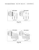 TREATMENT OF PROTEINOPATHIES USING A FARNESYL TRANSFERASE INHIBITOR diagram and image