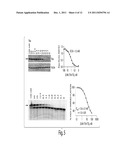 TREATMENT OF PROTEINOPATHIES USING A FARNESYL TRANSFERASE INHIBITOR diagram and image