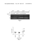 TREATMENT OF PROTEINOPATHIES USING A FARNESYL TRANSFERASE INHIBITOR diagram and image