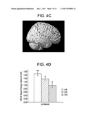 PHOSPHATIDYLINOSITOL-3-KINASE P110 DELTA-TARGETED DRUGS IN THE TREATMENT     OF CNS DISORDERS diagram and image