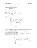 P38 MAP KINASE INHIBITORS diagram and image