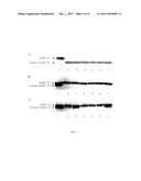 SMALL MOLECULE INHIBITORS OF BOTULINUM NEUROTOXINS diagram and image