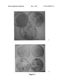 METHODS FOR ISOLATING BACTERIA diagram and image