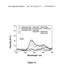 METAL ENHANCED FLUORESCENCE-BASED SENSING METHODS diagram and image