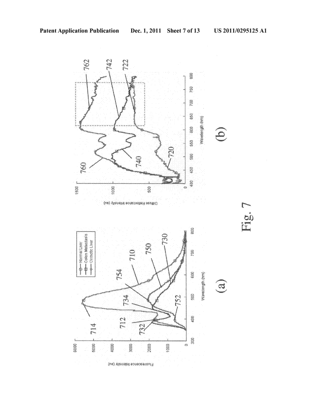 Apparatus and method for radio frequency ablation of a liver tumor in     liver tissues - diagram, schematic, and image 08