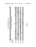 APPARATUS AND METHOD FOR STABILIZING, IMPROVING MOBILITY, AND CONTROLLING     CARTILAGE MATRIX DEGRADATION OF WEIGHT-BEARING ARTICULAR JOINTS diagram and image