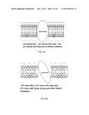 NEAR-INFRARED ELECTROMAGNETIC MODIFICATION OF CELLULAR STEADY-STATE     MEMBRANE POTENTIALS diagram and image