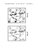 MULTI-PHASIC DYNAMIC KARST RESERVOIR NUMERICAL SIMULATOR diagram and image