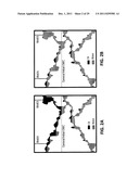 MULTI-PHASIC DYNAMIC KARST RESERVOIR NUMERICAL SIMULATOR diagram and image