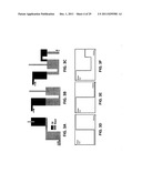 MULTI-PHASIC DYNAMIC KARST RESERVOIR NUMERICAL SIMULATOR diagram and image