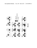 MULTI-PHASIC DYNAMIC KARST RESERVOIR NUMERICAL SIMULATOR diagram and image