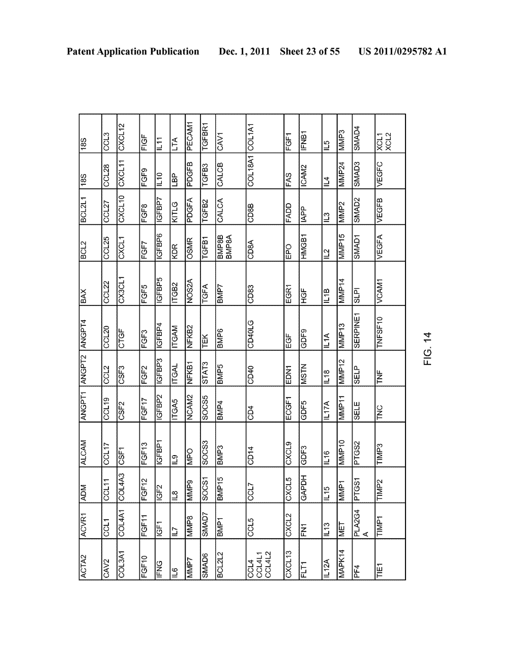 Clinical Decision Model - diagram, schematic, and image 24