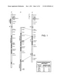 Human CTLA-4 Antibodies And Their Uses diagram and image