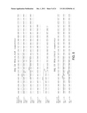 Human CTLA-4 Antibodies And Their Uses diagram and image