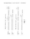 Human CTLA-4 Antibodies And Their Uses diagram and image