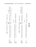 Human CTLA-4 Antibodies And Their Uses diagram and image