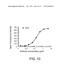 Human CTLA-4 Antibodies And Their Uses diagram and image