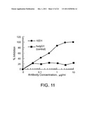 Human CTLA-4 Antibodies And Their Uses diagram and image