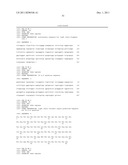 Human CTLA-4 Antibodies And Their Uses diagram and image