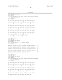 Human CTLA-4 Antibodies And Their Uses diagram and image