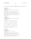 Human CTLA-4 Antibodies And Their Uses diagram and image