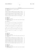 Human CTLA-4 Antibodies And Their Uses diagram and image