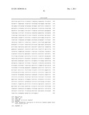 Human CTLA-4 Antibodies And Their Uses diagram and image