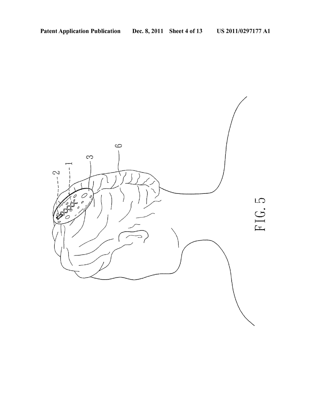 HAIR ORNAMENT - diagram, schematic, and image 05