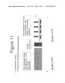 FORMING PLASTIC PANELS diagram and image