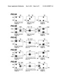 IMAGE PROCESSING DEVICE AND METHOD, AND IMAGE DISPLAY DEVICE AND METHOD diagram and image