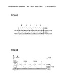 PLANAR ILLUMINATION DEVICE AND DISPLAY DEVICE PROVIDED WITH THE SAME diagram and image