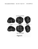 3D TISSUE MODEL FORMATION FROM NON-PARALLEL 2D IMAGES diagram and image