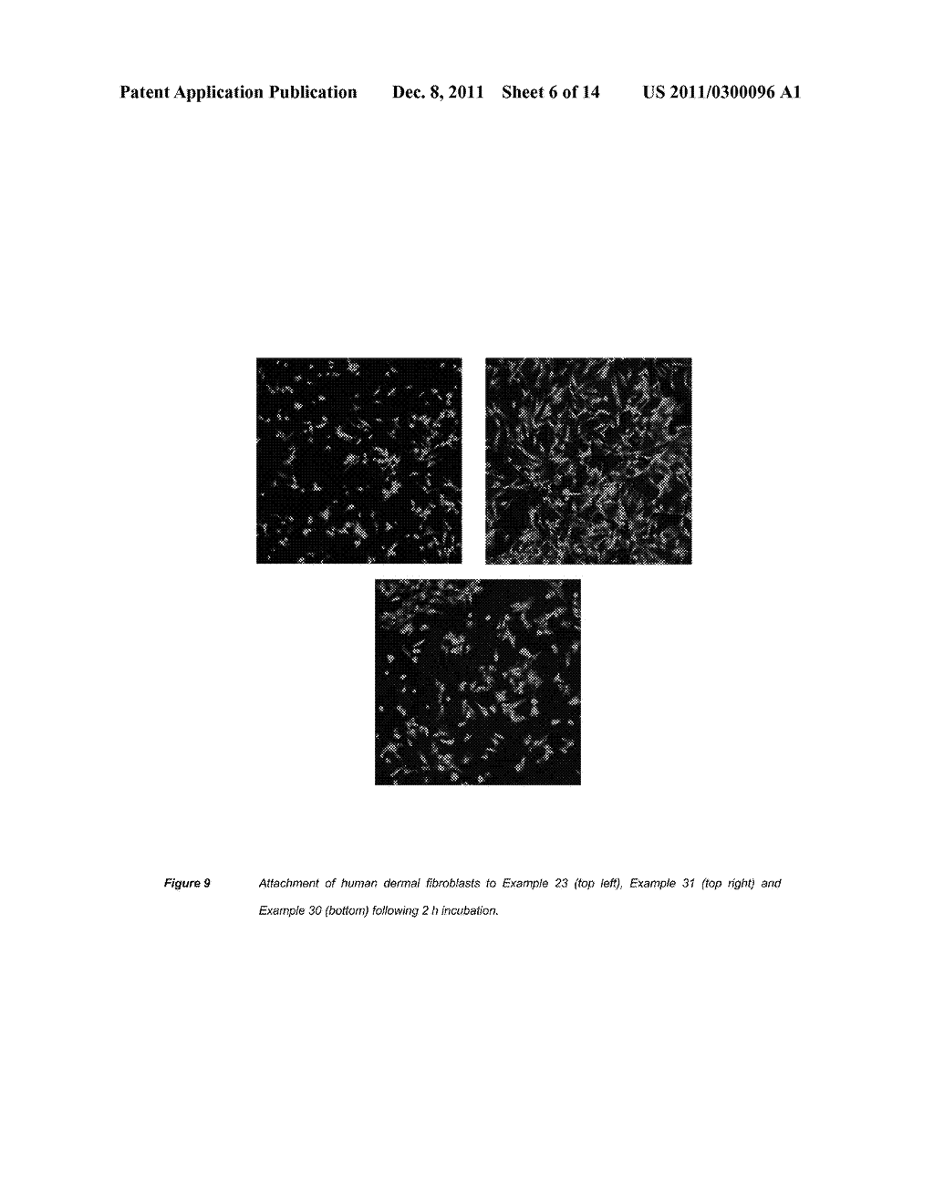 Polymers With Structure-Defined Functions - diagram, schematic, and image 07