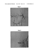 METHOD FOR TREATING A PATIENT diagram and image