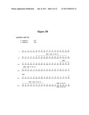 Interferon Alpha Antibodies And Their Uses diagram and image