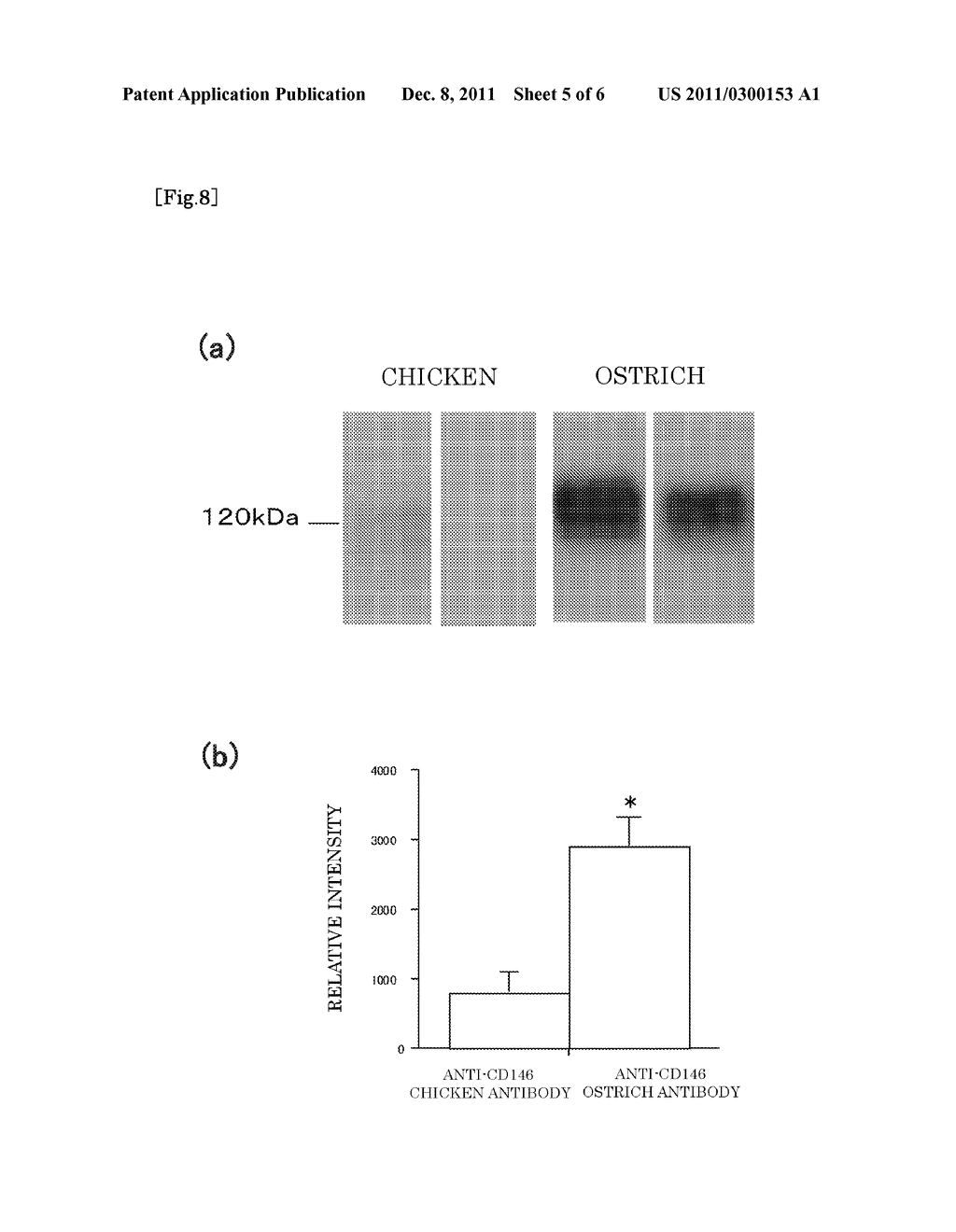 ANTIBODY PRODUCED USING OSTRICH AND METHOD FOR PRODUCTION THEREOF - diagram, schematic, and image 06