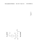 METHOD OF PREPARING ADENOSINE-RESISTANT ANTI-TUMOR T LYMPHOCYTES FOR     ADOPTIVE IMMUNOTHERAPY diagram and image