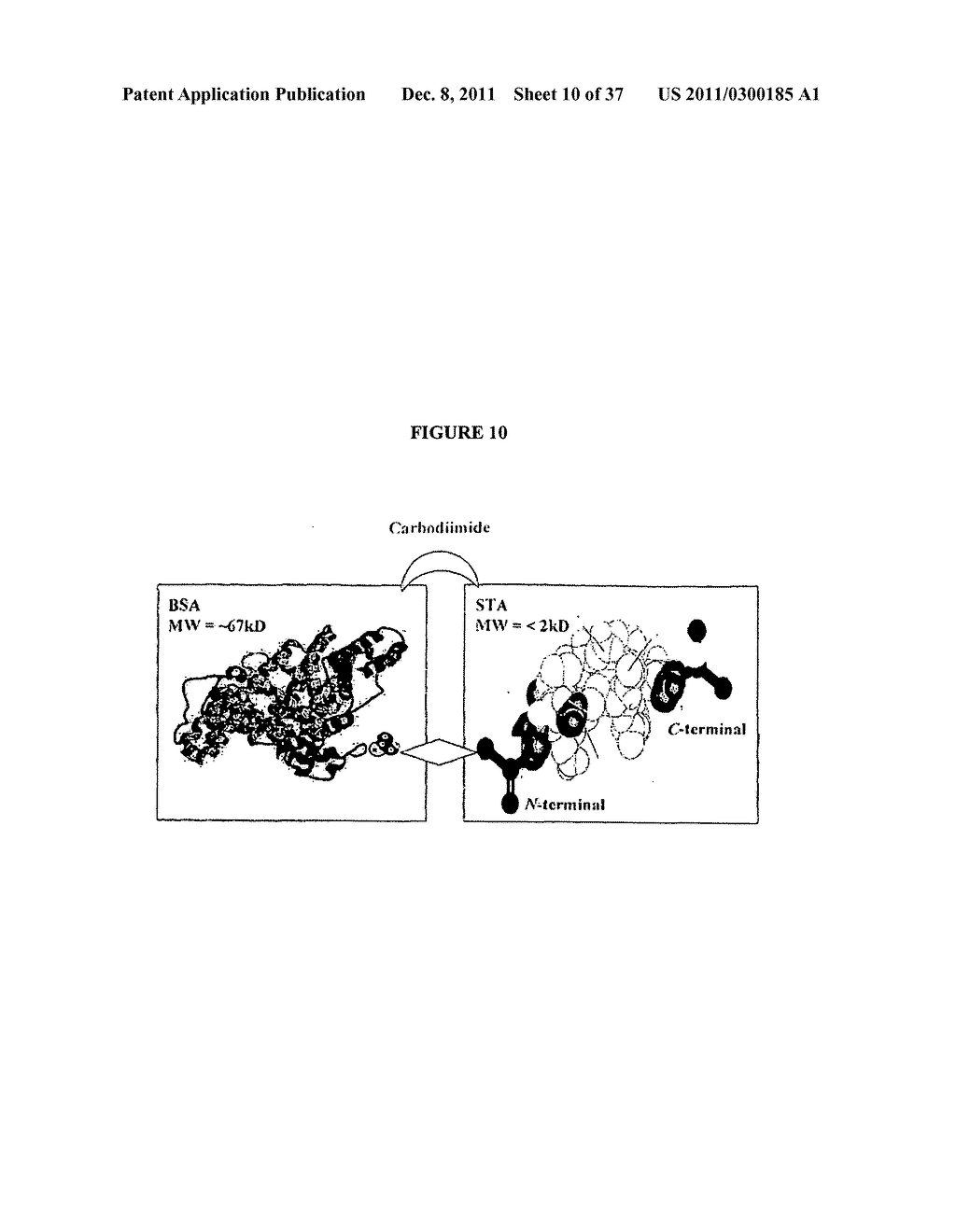 IMMUNOGENIC ESCHERICHIA COLI HEAT STABLE ENTEROTOXIN - diagram, schematic, and image 11