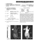 ANTIOXIDANT CAMPTOTHECIN DERIVATIVES AND ANTIOXIDANT ANTINEOPLASTIC     NANOSPHERES THEREOF diagram and image