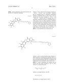 ANTIOXIDANT CAMPTOTHECIN DERIVATIVES AND ANTIOXIDANT ANTINEOPLASTIC     NANOSPHERES THEREOF diagram and image