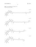 ANTIOXIDANT CAMPTOTHECIN DERIVATIVES AND ANTIOXIDANT ANTINEOPLASTIC     NANOSPHERES THEREOF diagram and image