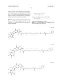 ANTIOXIDANT CAMPTOTHECIN DERIVATIVES AND ANTIOXIDANT ANTINEOPLASTIC     NANOSPHERES THEREOF diagram and image